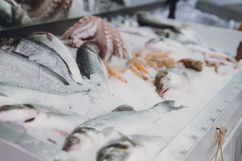 Past the Cod Counter: A Guide to Britain's Most Overlooked Fish and Shellfish