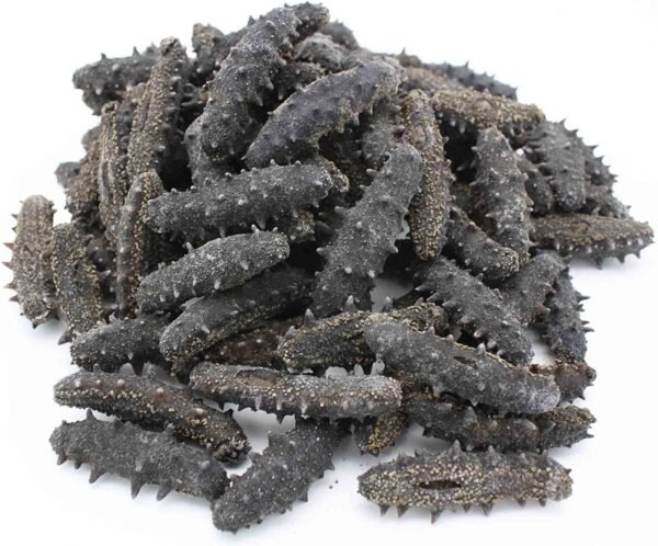Wholesale Dry Sea Cucumber - Image 4