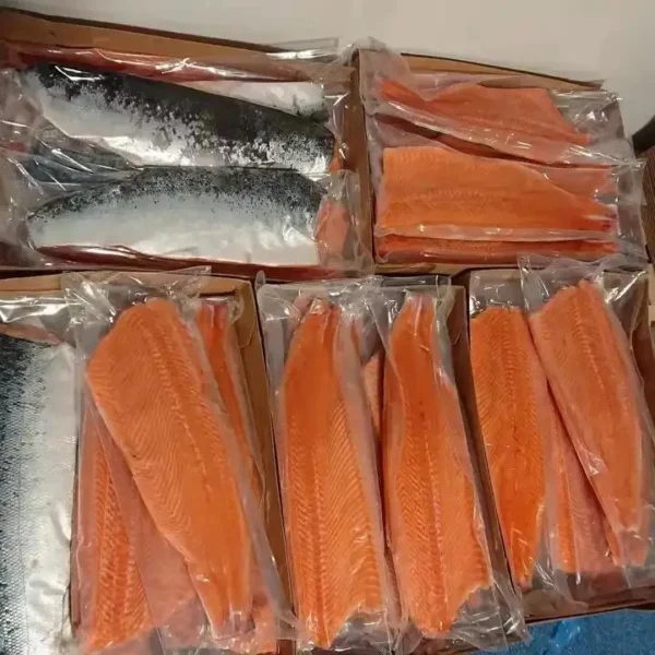 Wholesale Frozen fish - Image 4