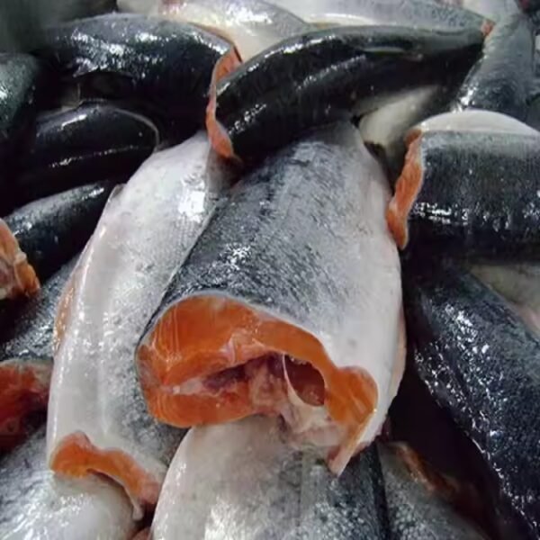 Wholesale Frozen fish - Image 3