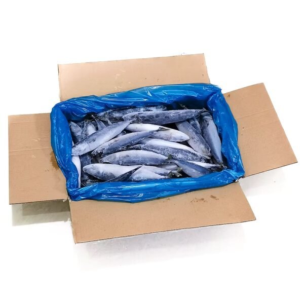 Wholesale Frozen fish - Image 2