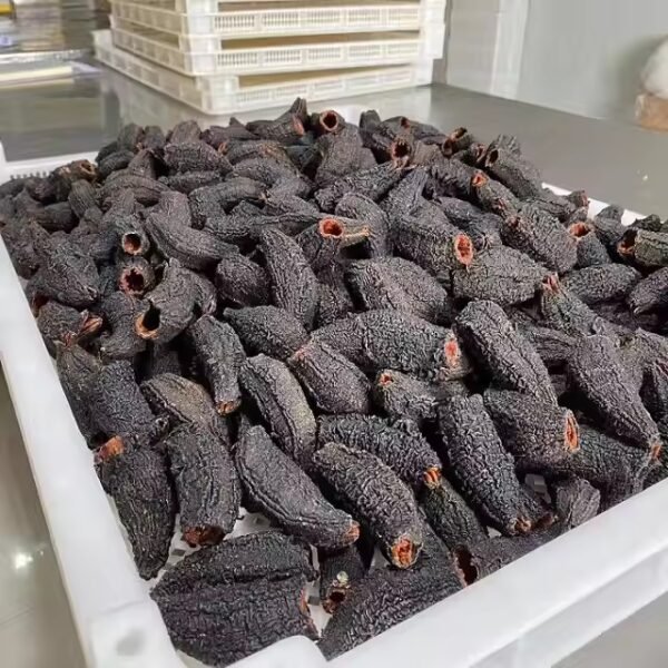 Wholesale Dry Sea Cucumber