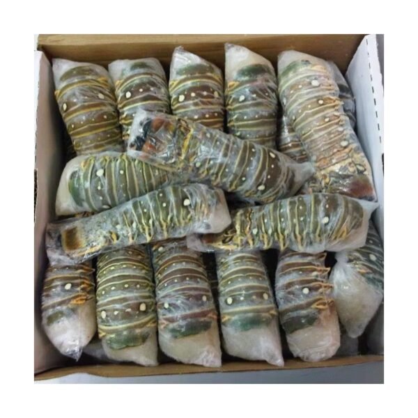Bulk Supplier Frozen Lobste - Image 4