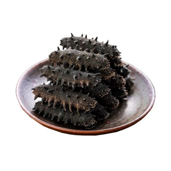 Wholesale Dry Sea Cucumber - Image 3