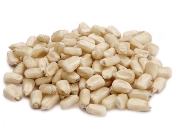 Dry white and yellow corn - Image 3