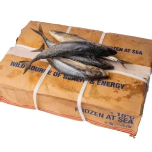 Wholesale Frozen fish