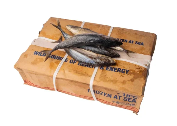 Wholesale Frozen fish